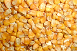 Organic Whole Grain Corn