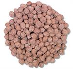 Garbanzo Beans