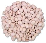 Baby Lima Beans