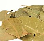 Bay Leaves