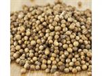 Coriander, Whole