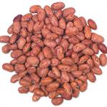 Cranberry Beans
