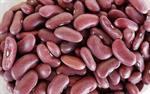 Dark Red Kidney Beans