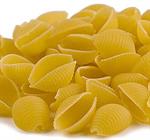 Medium Shells