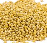 Millet