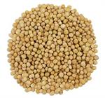 Mustard Seeds