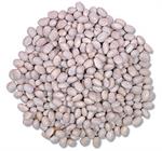 Navy Beans