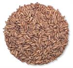 Organic Whole Oat Groats