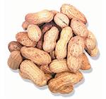 Peanuts in SHELL Roasted Not Salted