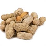 Peanuts in SHELL Roasted & Salted