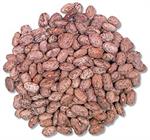 Pinto Beans