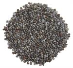 Poppy Seeds