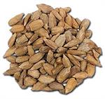 RAW Sunflower Seeds