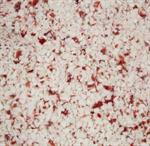 Red Bird Crushed Peppermint Candy