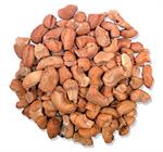 Roasted & Salted Cashews Butts R&S
