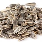 Roasted & Salted Sunflower Seeds in Shell