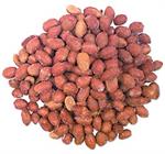 Spanish Peanuts Roasted & Salted
