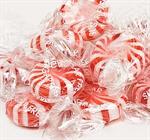 Sugar Free Mints Starlite