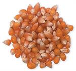 Tiny Kernel Popcorn