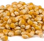 Yellow Popcorn