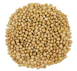 Mustard Seeds