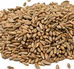 Organic Rye Berries