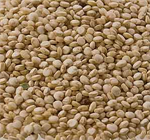 Quinoa Grain