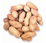 Peanuts in SHELL Roasted Not Salted