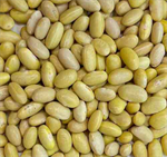 Mayocoba Bean