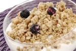 Wild Blueberry Flax Granola